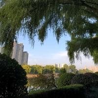 春天花開了头像