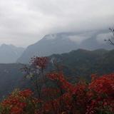 陈佩剑915头像