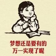 拾晚霞的个人资料头像