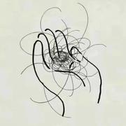 Z的个人资料头像