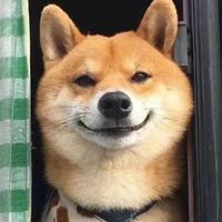 用户3154178117815头像