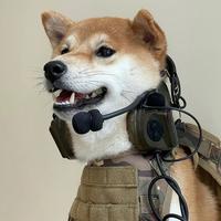 开破X的迪迦头像