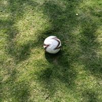 韭千山鸟飞绝头像