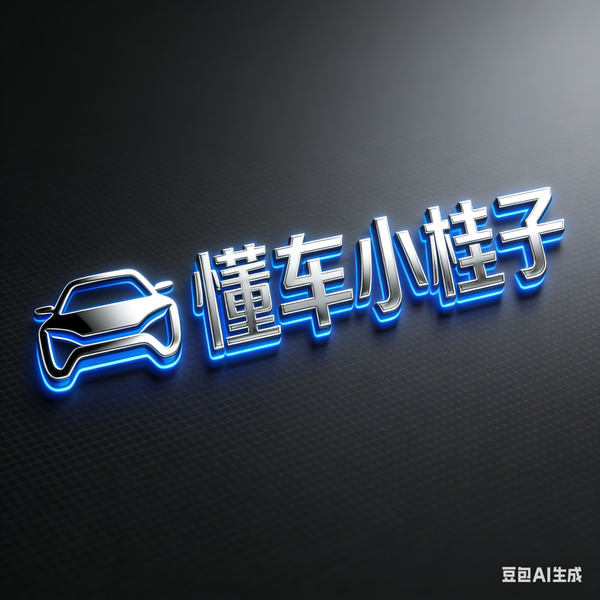 懂车的小桂子头像