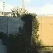 摆烂为不摆烂的个人资料头像