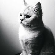 bashihui的个人资料头像