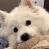 用户4491282850202头像