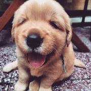 Lawson的个人资料头像