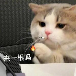 牙子猹头像