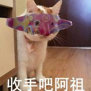 Littlemin的个人资料头像