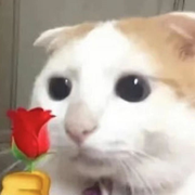 村口修车邓师傅的个人资料头像