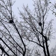 阿睿753的个人资料头像