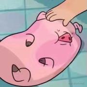 SXISZERO的个人资料头像