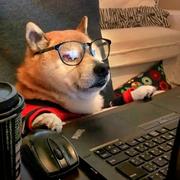 沉香708的个人资料头像