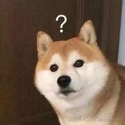 没啥好说的个人资料头像