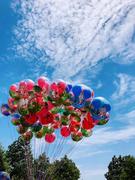 苏格兰折耳猫的个人资料头像