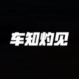 车知灼见头像