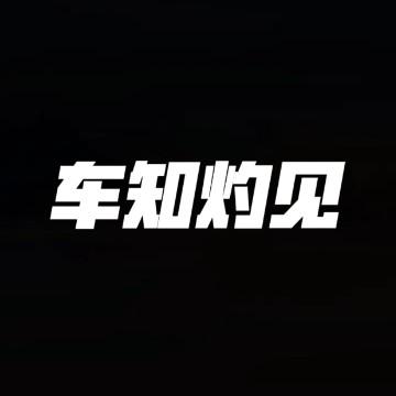 车知灼见头像