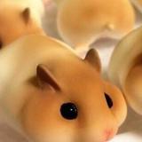 skr大碗面头像