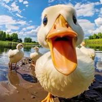 等风来81581头像