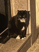 dust82的个人资料头像