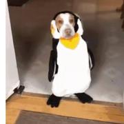 Jeff201的个人资料头像