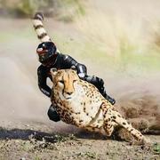 老船长l的个人资料头像