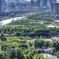 直爽山中有悟头像