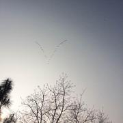 Ittit的个人资料头像