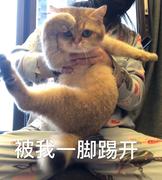 hyukhae的个人资料头像