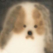 用户8826249261023的个人资料头像