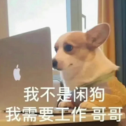 萧熙载的个人资料头像