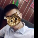 鹏鹏很忙头像
