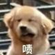 工作赚油费头像