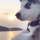 Immortal爱学习的个人资料头像