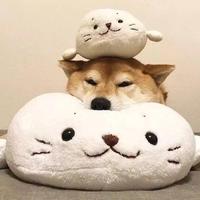 叫我龙大帅气头像