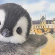 wink1234的个人资料头像