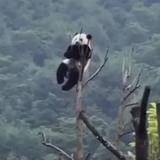 今天明天659头像