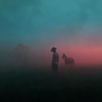 远见卓识荷叶0W2头像