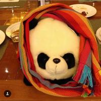 麦辣鸡腿肉头像