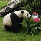 命难测多蹇时殇头像