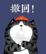 亦司的个人资料头像