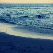 冬至576的个人资料头像