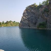 小鸟不啾啾啾头像