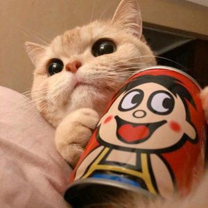 小田不睡觉头像