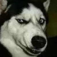 开英诗派的老头子头像