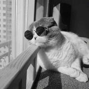 橙子147的个人资料头像