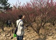 闪闪_君威的个人资料头像