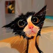 时光静待的个人资料头像