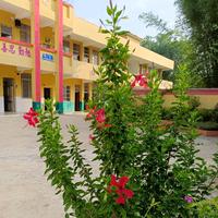 金黄的枫叶头像